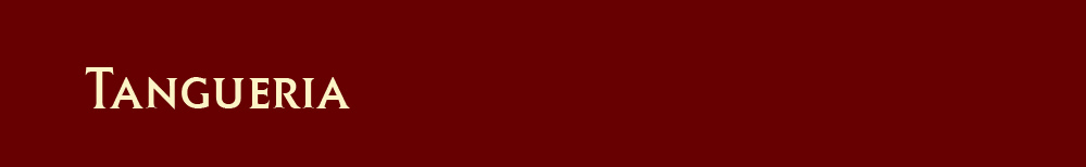 Tangueria - Tango Tanzen
